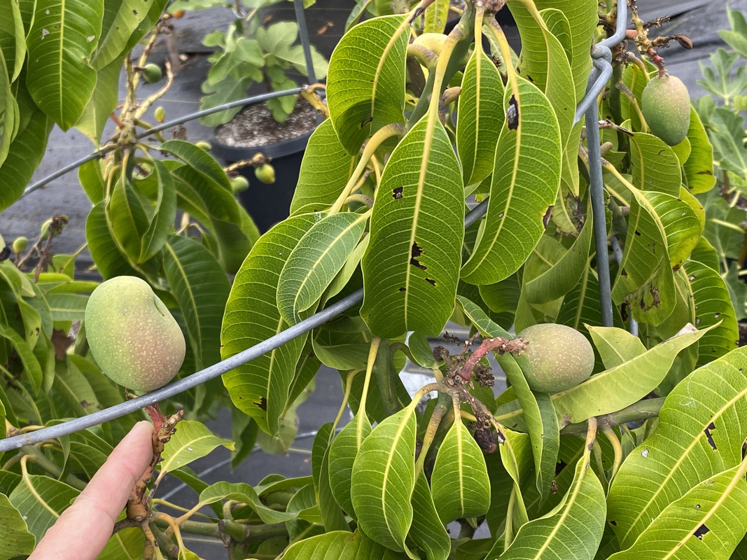 4AA5D1D2-F299-4C3D-98A5-0382AB9DD8FB