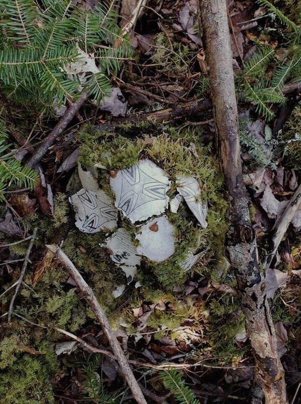 Nature-3