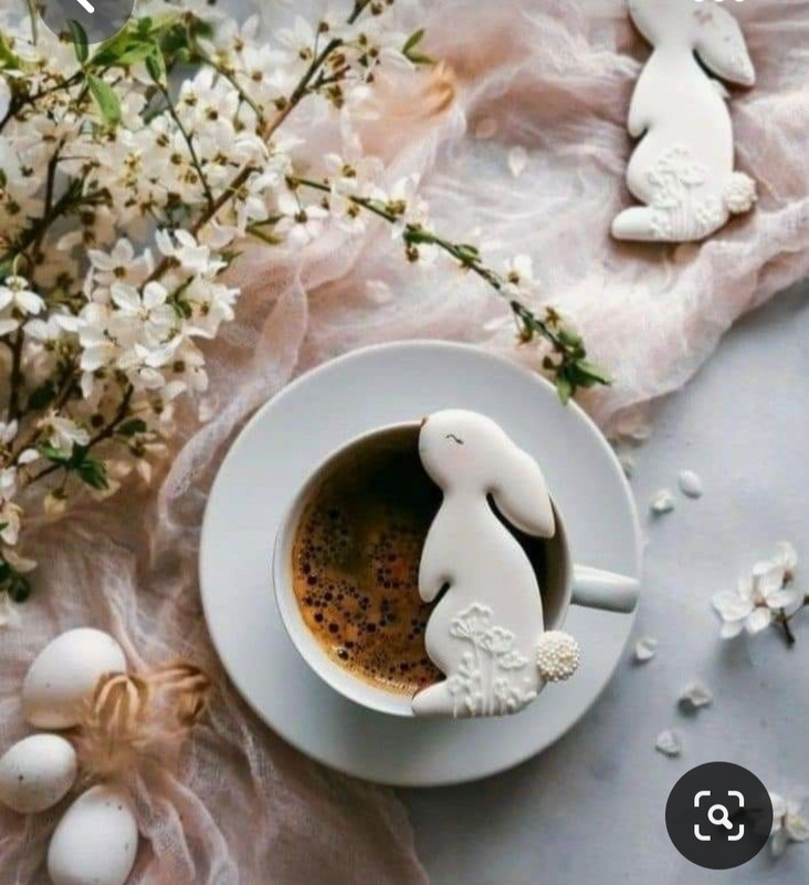 Screenshot_20230413_230908_Pinterest