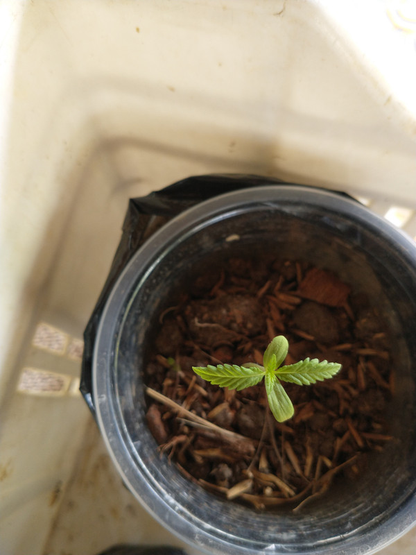 IMG_20210328_135727264