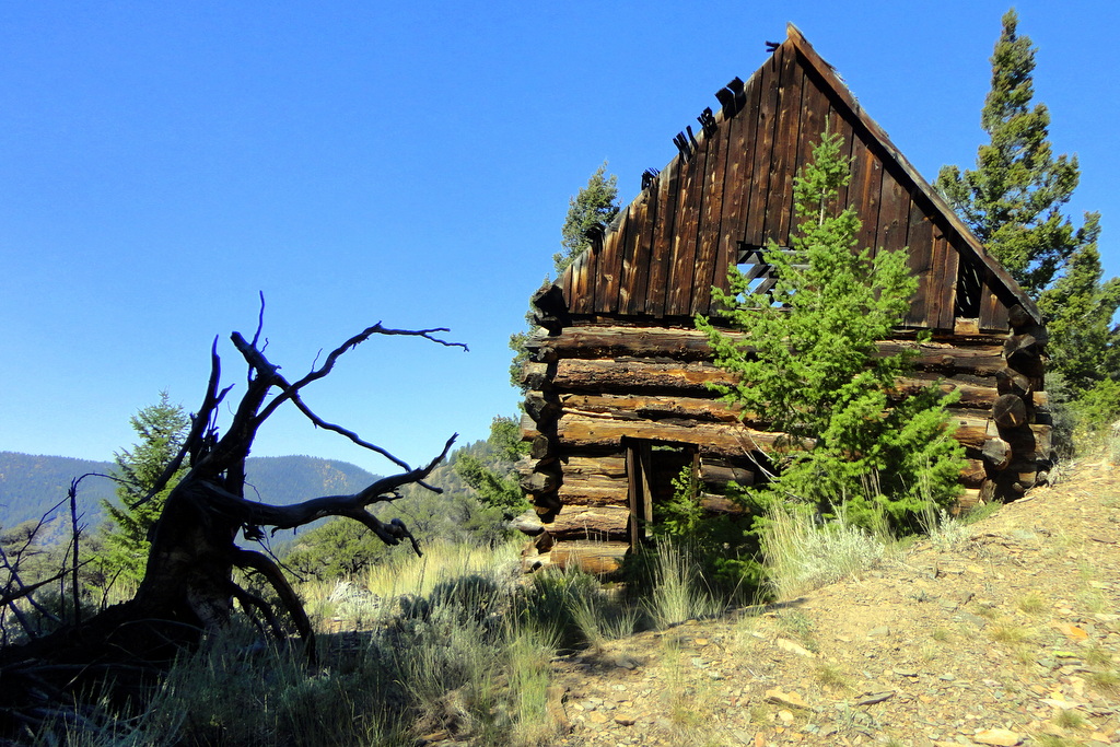 ATV adventure Challis ID area