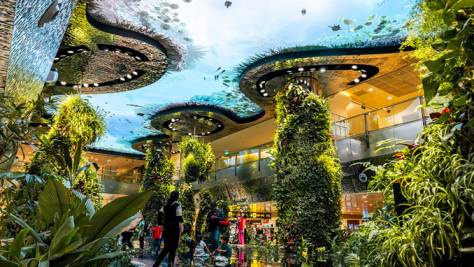 Go in the background of Changi Air terminal