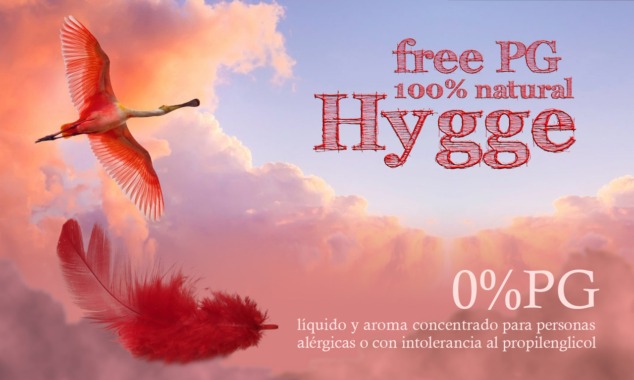 PUBLICIDAD-FORO-HYGGE-2.jpg