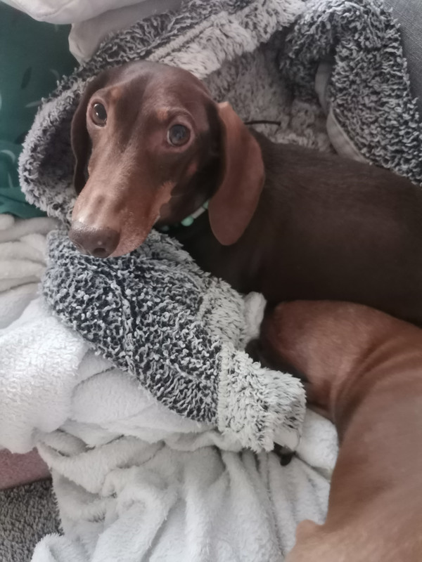 [Image: IMG-20250414-203420.jpg]