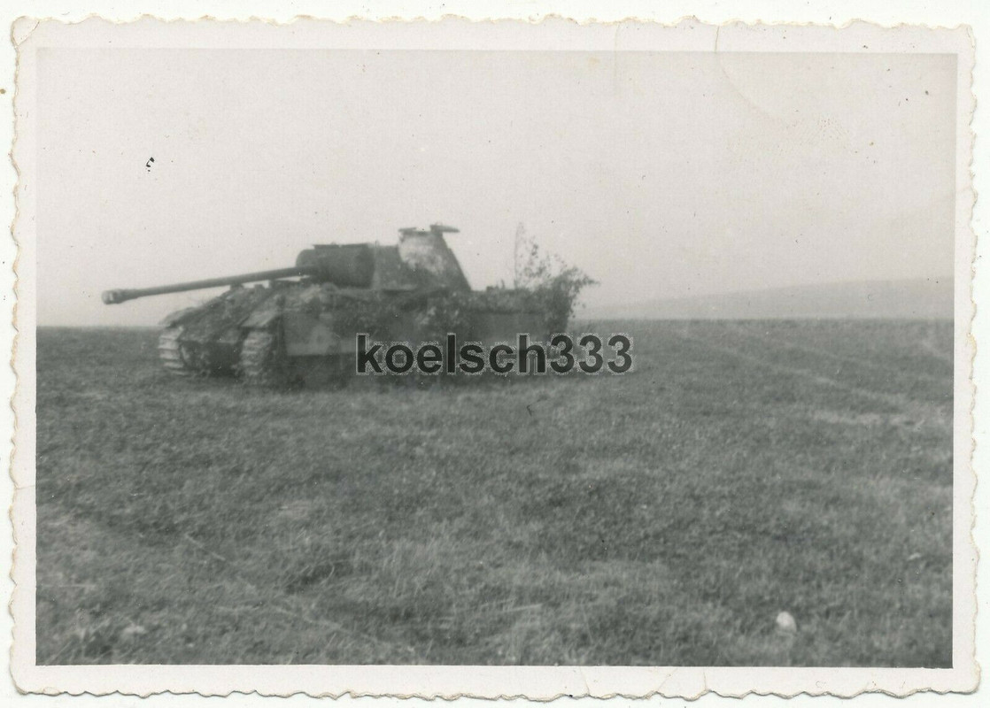 Foto Panther Panzer mit Seitenschürzen in der Eifel Freilingerhöhe Nusbaum 1944