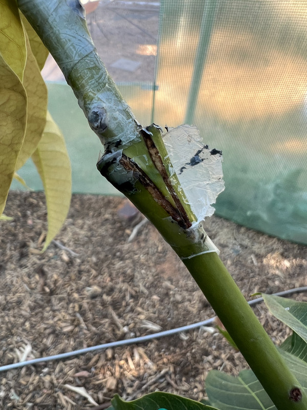 62719C0C-A166-4F45-A786-DFFD9A5A489E