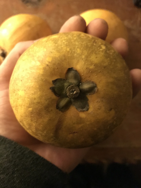 69FF4D73-7D64-4CAB-8804-D09906E6E540