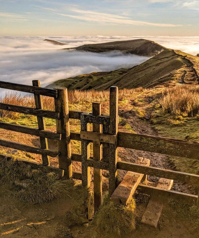 Screenshot_20231208_211840_Instagram