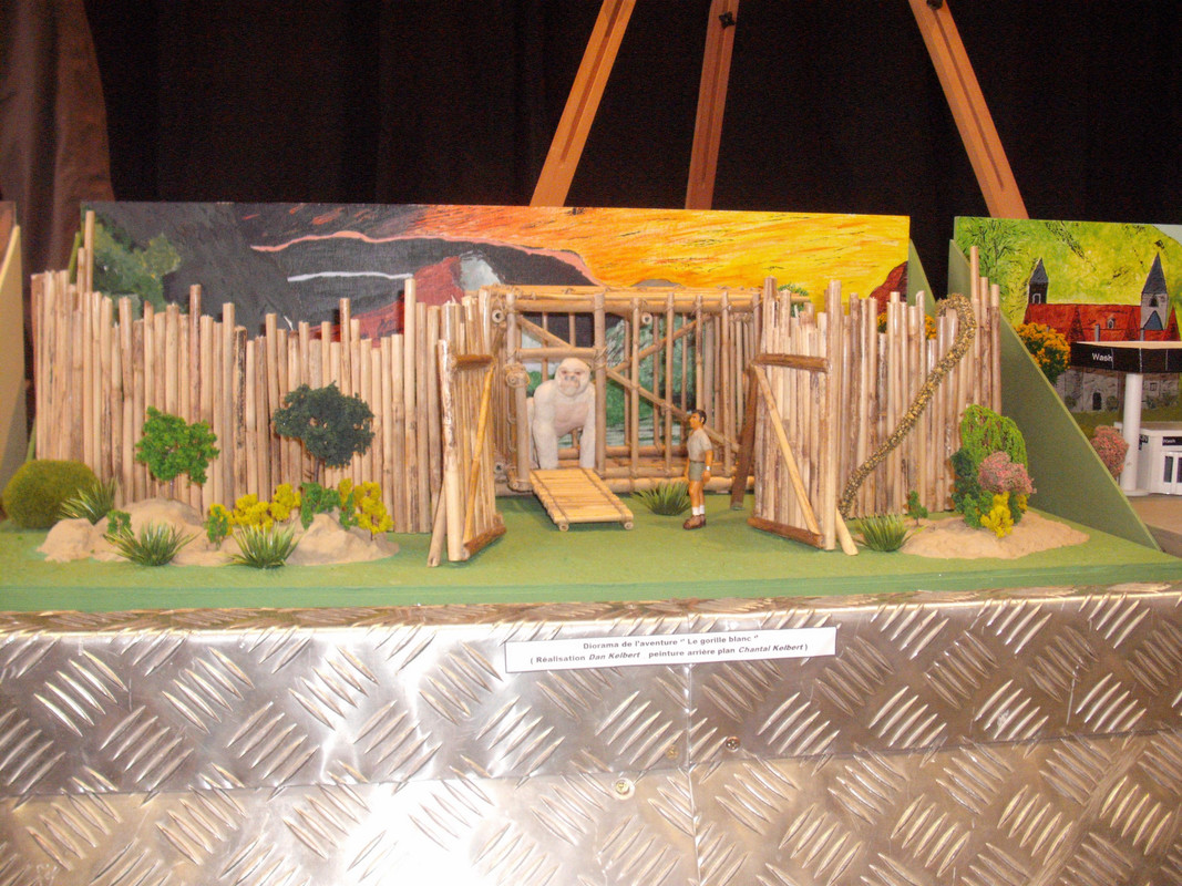 le gorille blanc (1)