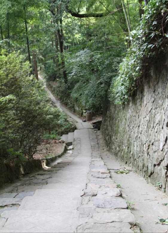 E7A006B1-0993-49C4-844D-7B8537DE0A44