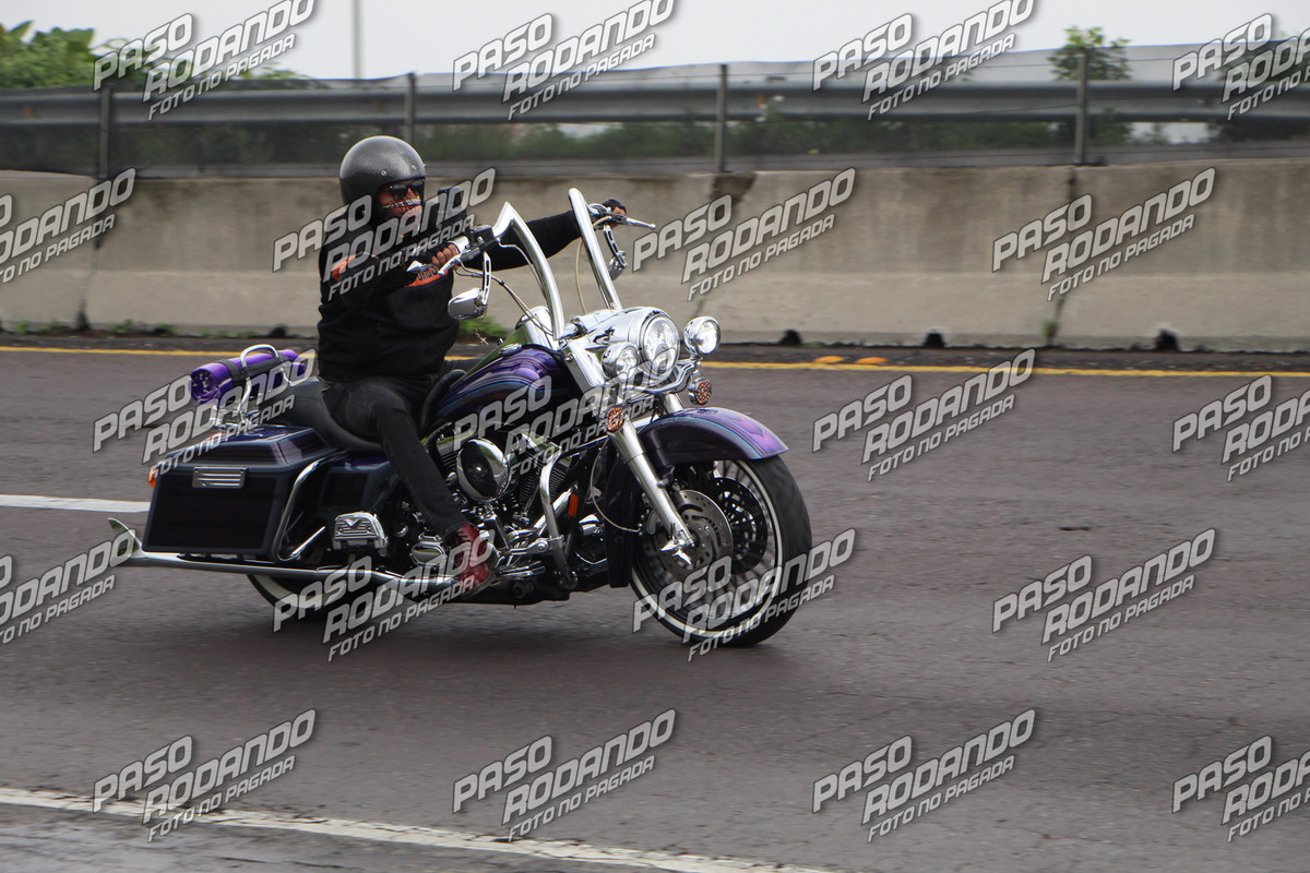 IMG 2853 wm 668677 4999999999 watermarked — Postimages