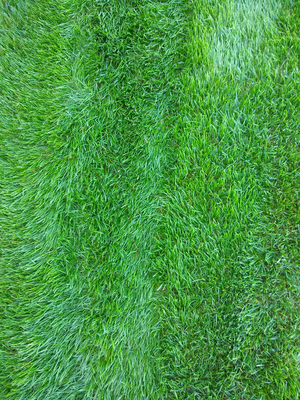 IMG_20201001_101251688