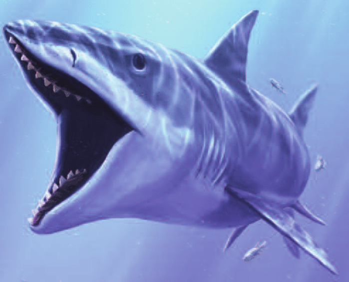 Edestus Preview