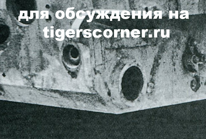 ФИ_Первые тигры_046-1