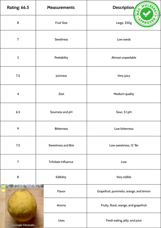 IVA Swingle Citrumelo 20260129 201934 0000