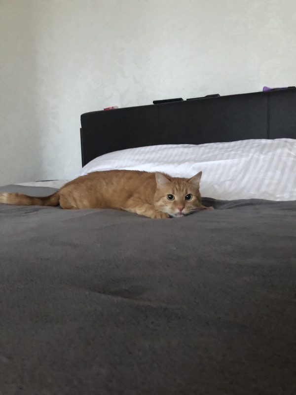 BC174B97-549E-47CE-8AE1-DFC26E455D24