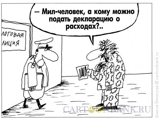 deklaraciya o rasxodax