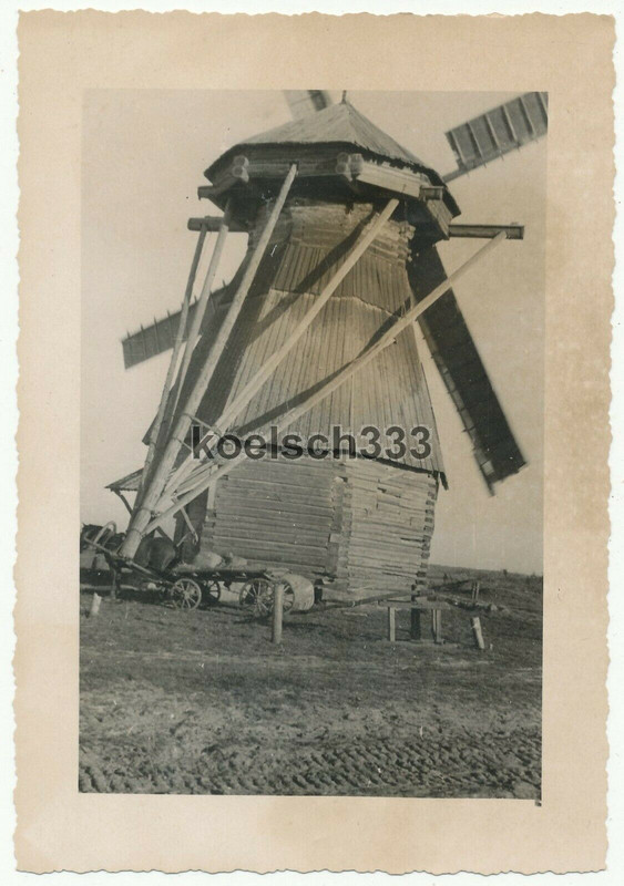 Foto Pferde Feldwagen vor einer hölzernen Windmühle in Russland Ostfront 1941