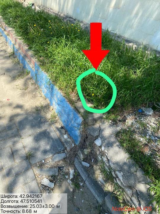 00899558 896F 446E 9B34 4C3D3E34733C 4164ED2D 1A66 4315 9D2B FB44B6AEE255