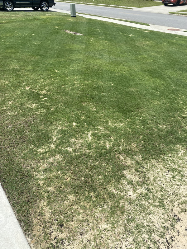 03AA3C2A-1947-4202-8297-A1E5C1D287C8