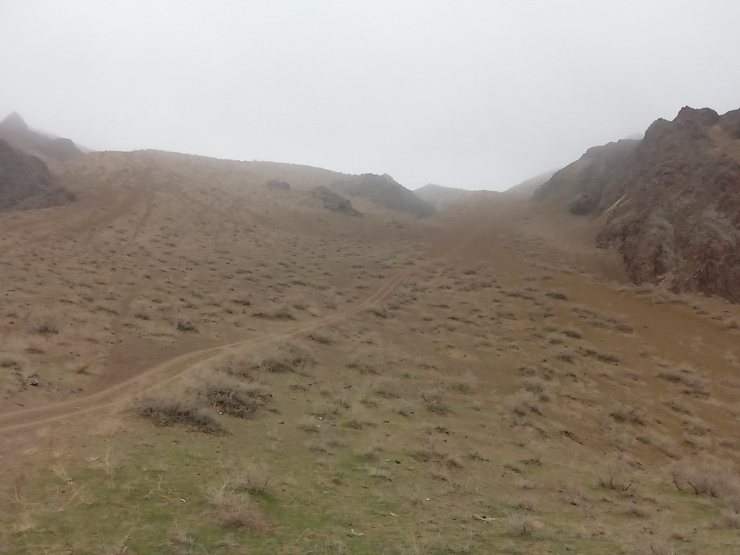 IMG-20221106-112724.jpg