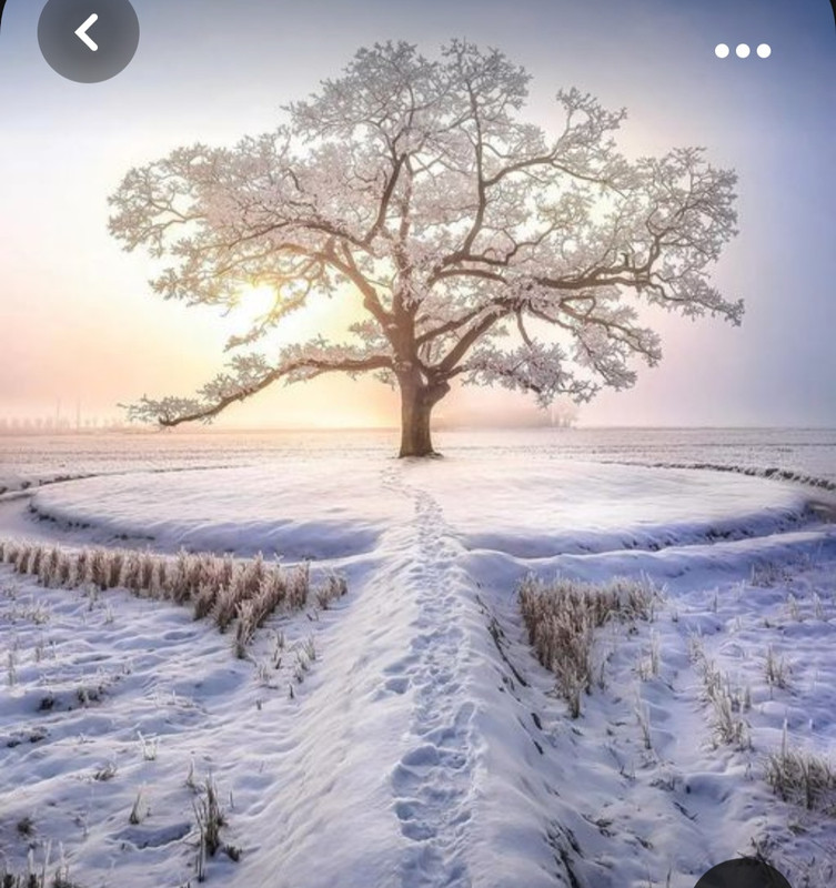 Screenshot_20231017_202019_Pinterest