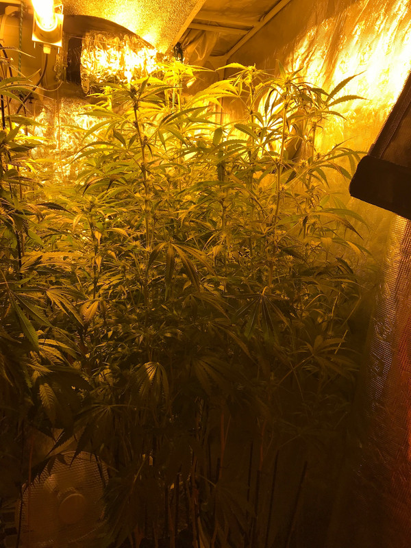 B0C1DC85-121E-4184-9ED3-1DDF3C16132B