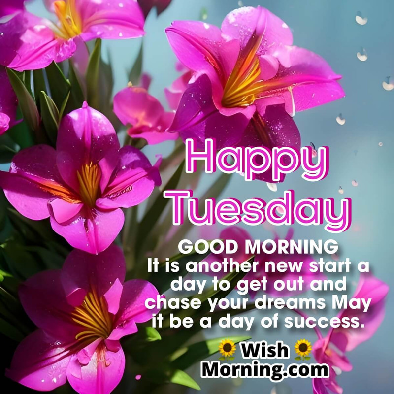 Happy-Tuesday-Wish-For-New-Start-Of-Day