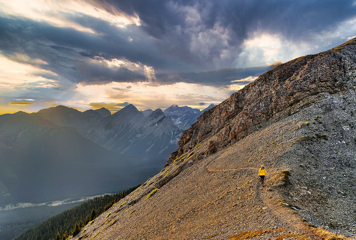 IMAGE: https://i.postimg.cc/rpMtHnSw/credit-ryanbreitkreutz-signature-edits-free-raw-photos-DSC0153-Dx-O-HDR-HDR-copy.jpg