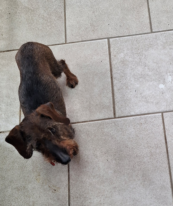 [Image: 20240312-110101.jpg]