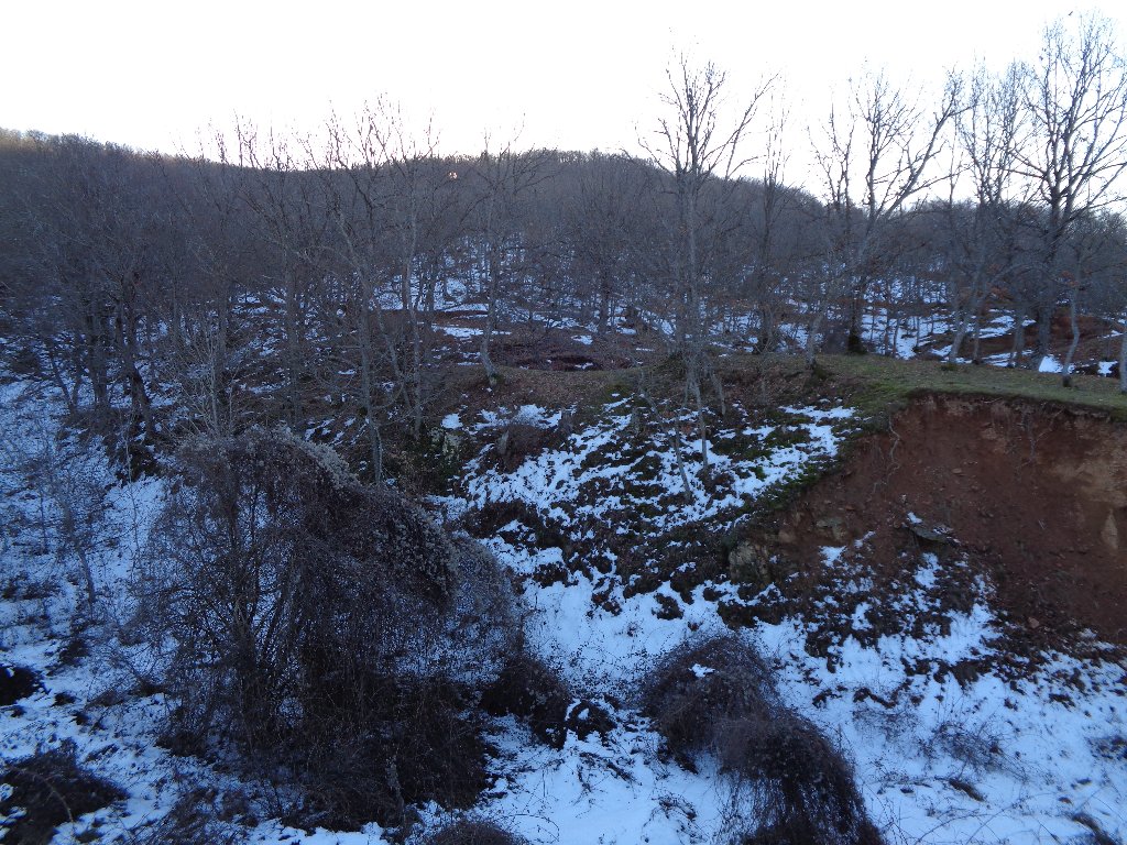 DSC00207.jpg