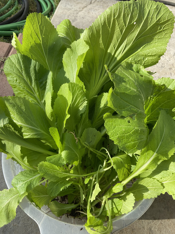 5EA20618-5068-4066-8A6D-A0FDF09759B1