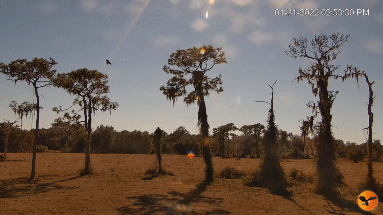 Webp.net-gifmaker (6)