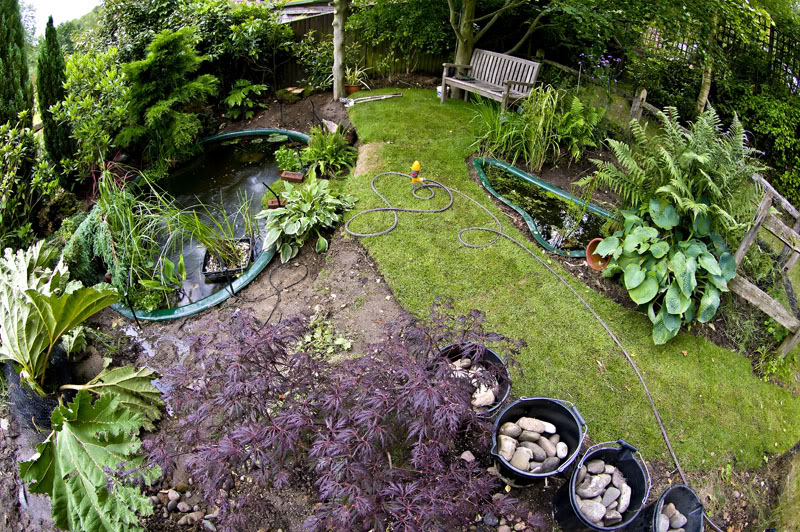 Unique springfed 20m x 10m x 2m Koi, Orfe & Goldfish pool Your Pond