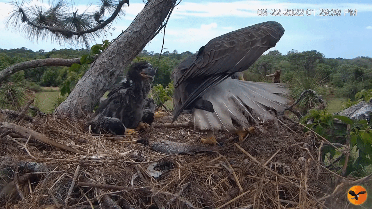 Webp.net-gifmaker (1)