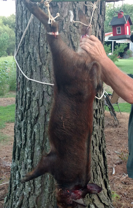 0664F2FC-270D-4606-863C-8F0A4A3370D5