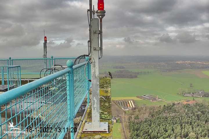 campics vanaf 6 december © VWGGemert en bonusjes van ter plekke - Pagina 29 Cam-1-2