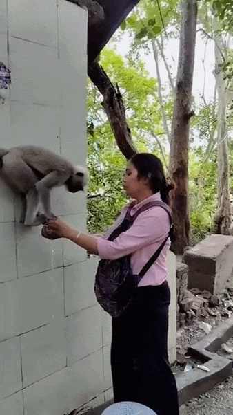 ezgif-3d8335dd4918835a.gif