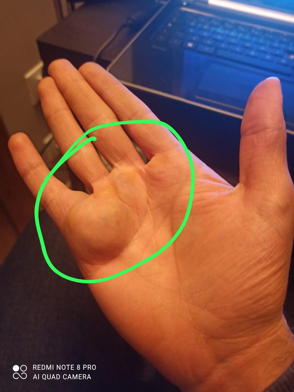 7434aecc-6ce9-4ea1-b335-03583d75533a (1)