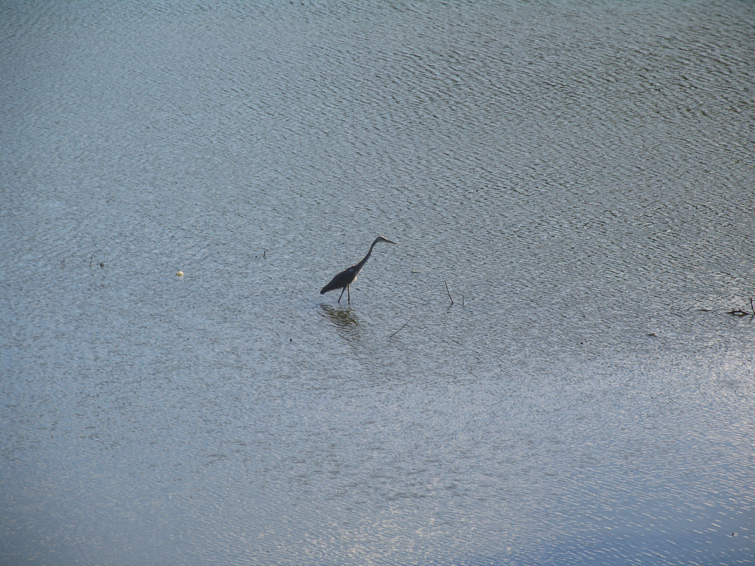 21 Июля 2024 040