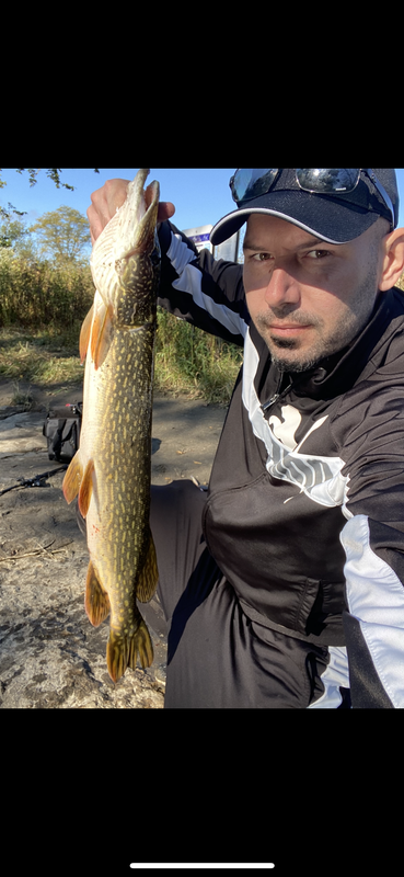 5BC13995-13BE-4B0F-A8A7-529438285FC9