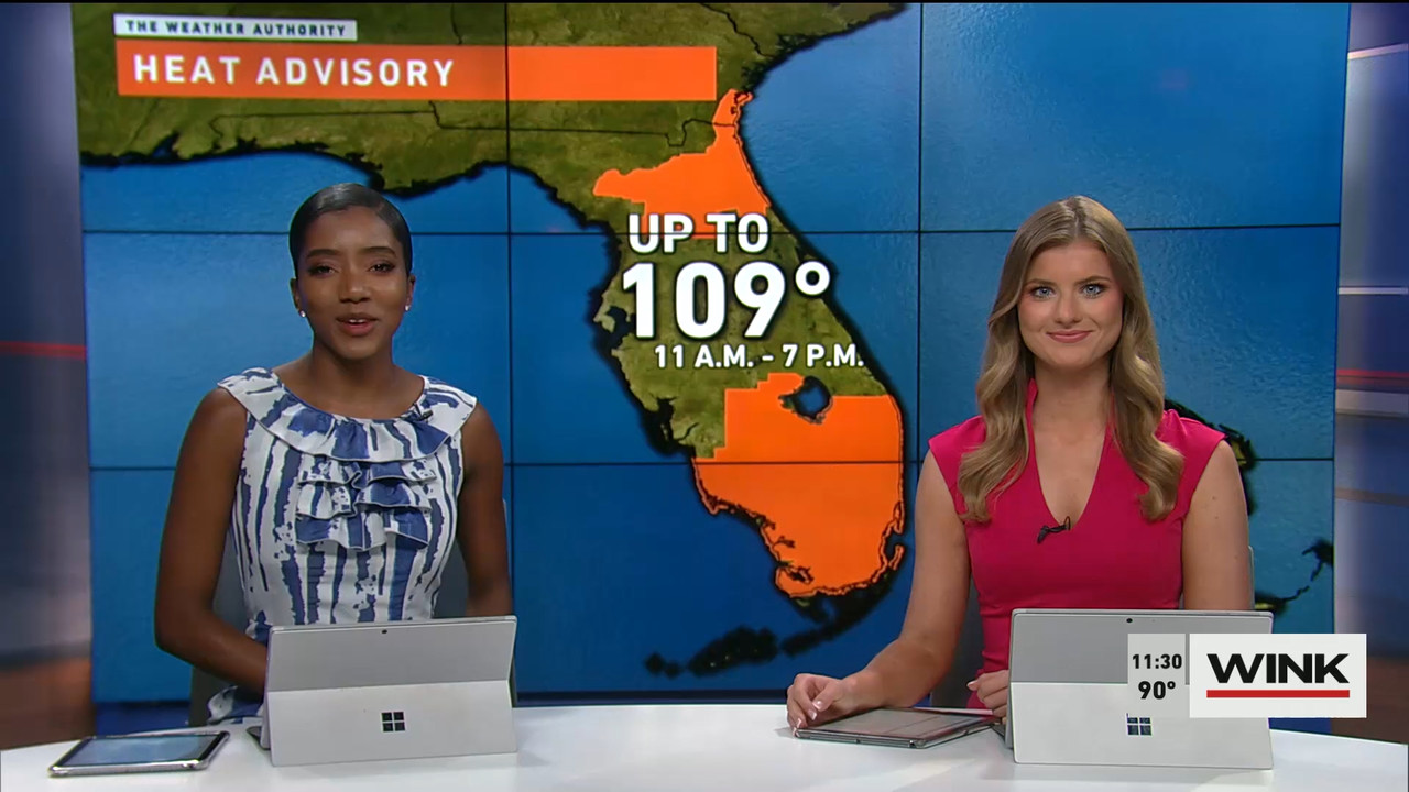 07.09 - 16.30.00 - WINK NEWS at 11 30am. Midday news..ts_snapshot_06.38.146