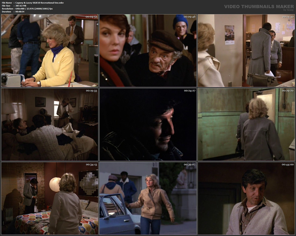 Cagney & Lacey S02E10 Recreational Use.mkv