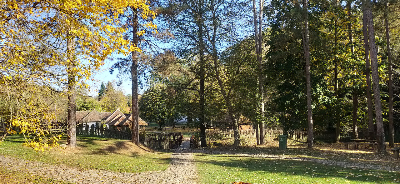 IMG20231029131921.jpg
