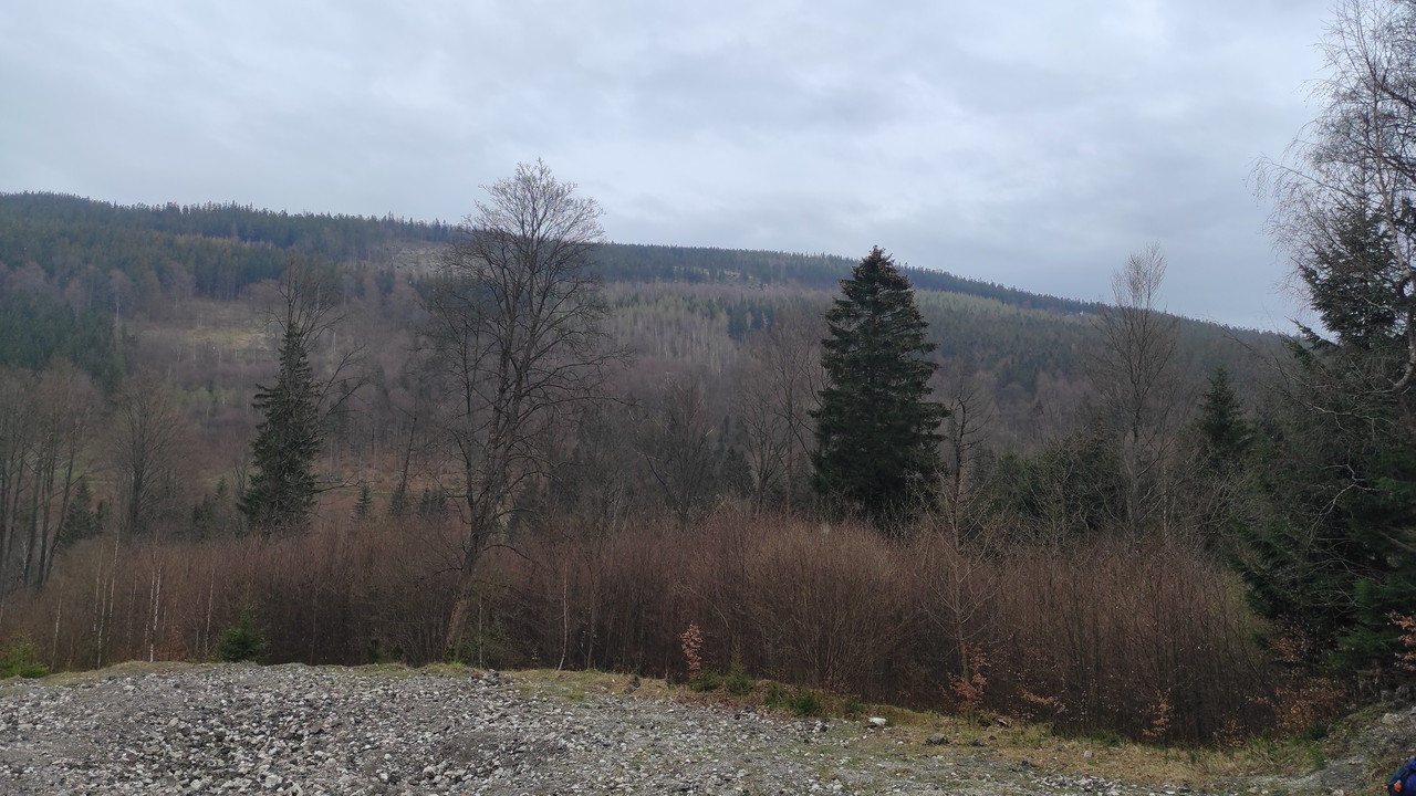 15.31 - IMG_20230502_141422 (Czesio1)