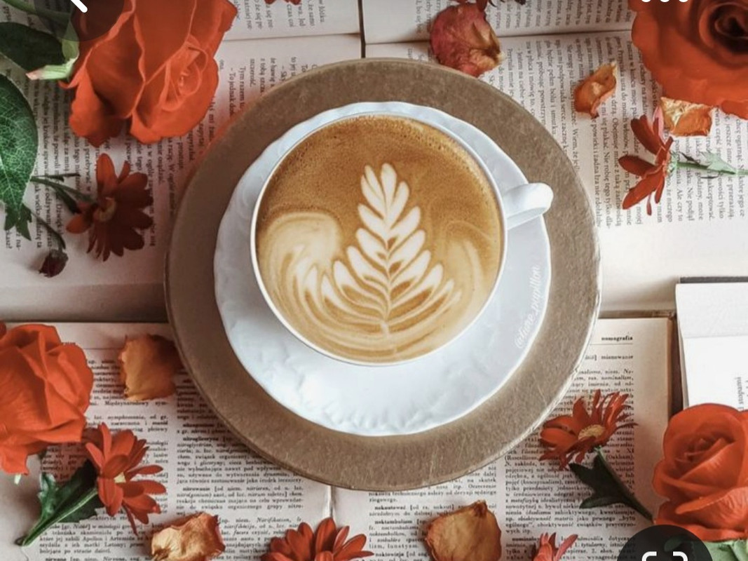 Screenshot_20230322_003725_Pinterest