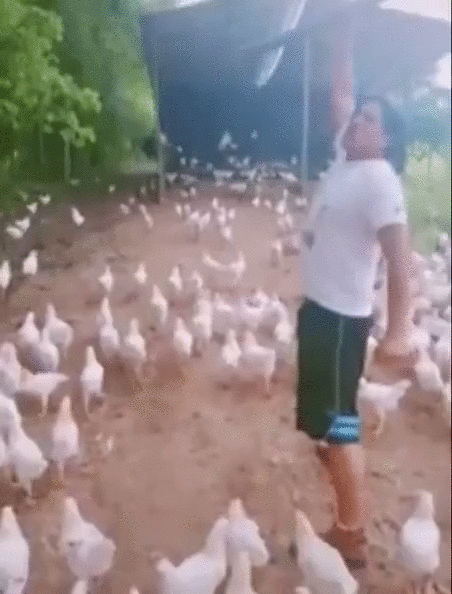 https://i.postimg.cc/rpRkkBsd/3.gif