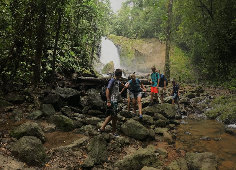 DIA 13: EXCURSIÓN DE UN DÍA A CORCOVADO - DE TORTUGAS Y PEREZOSOS. COSTA RICA 2019 (63)