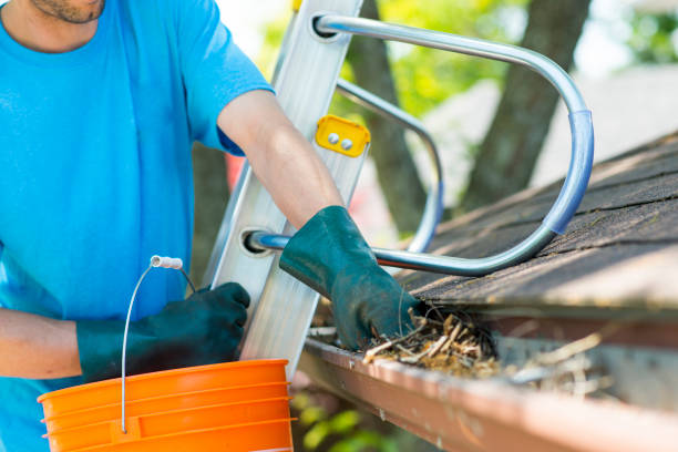 Professional gutter cleaning by City Breeze Team