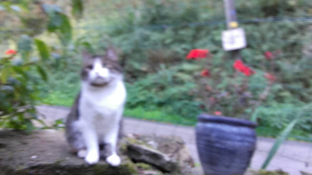 3604F8DD-179B-41CD-AA9C-587B85FC24F5